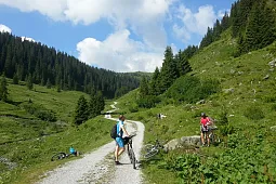 Bild 3
