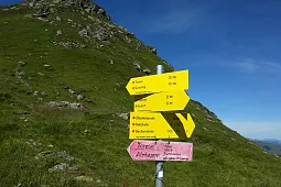 Bild 7